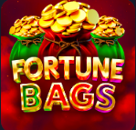 Fortune Bags